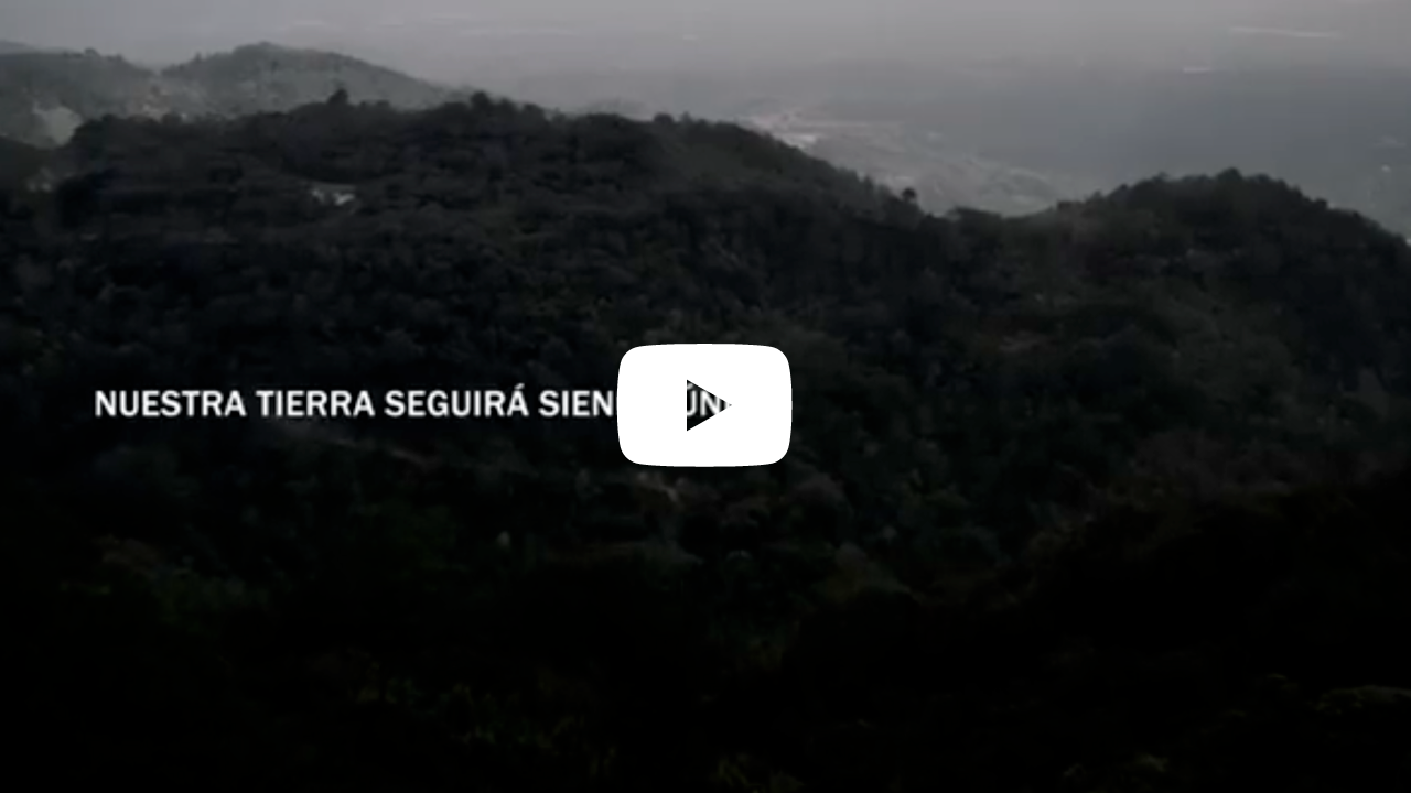 covidflix